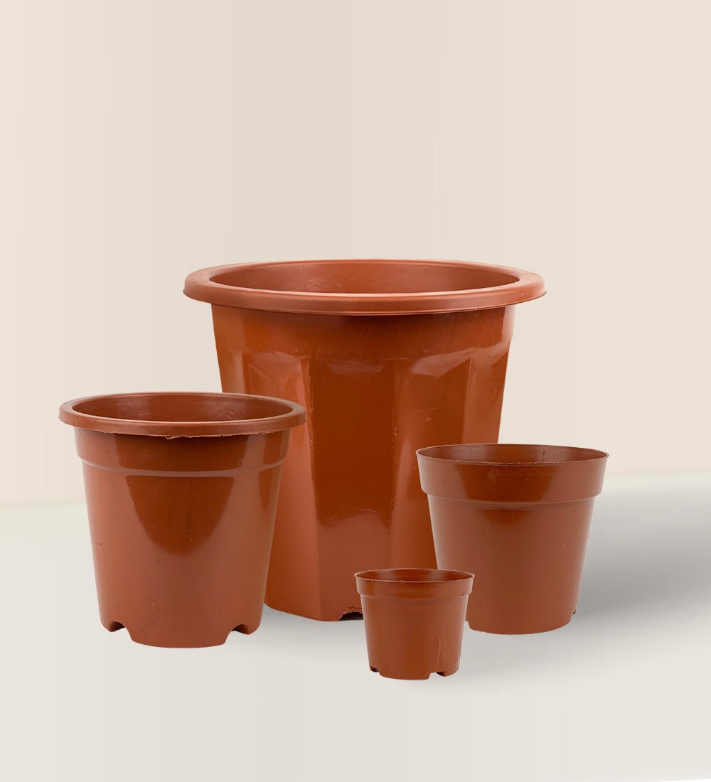 miniature plastic plant pots Plastic Grow Pot