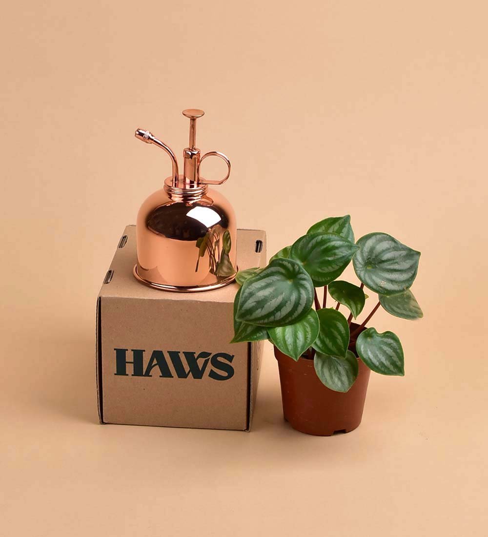 Haws Misters - copper