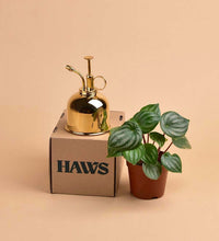 Haws Misters - brass