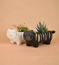 Tiger Planters