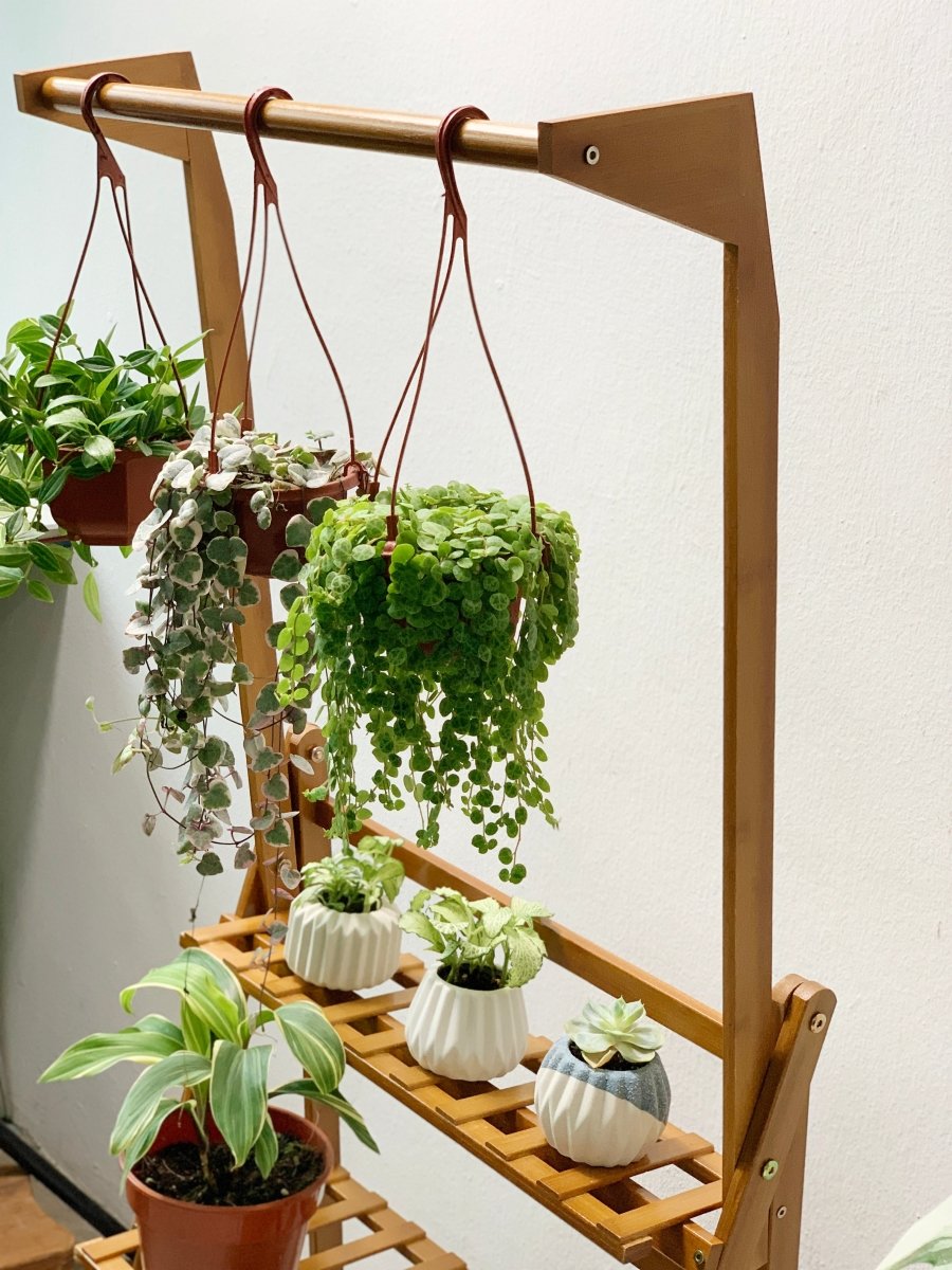 Foldable Plant Rack - with hanging bar - Home Decor - Tumbleweed Plants - Online Plant Delivery Singapore