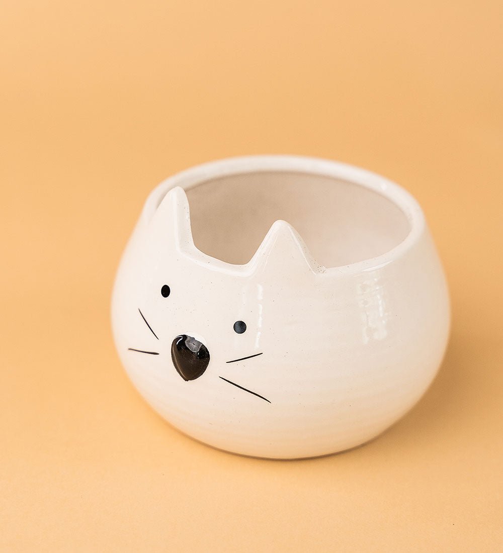 Kitty Planter - Pot - Tumbleweed Plants - Online Plant Delivery Singapore