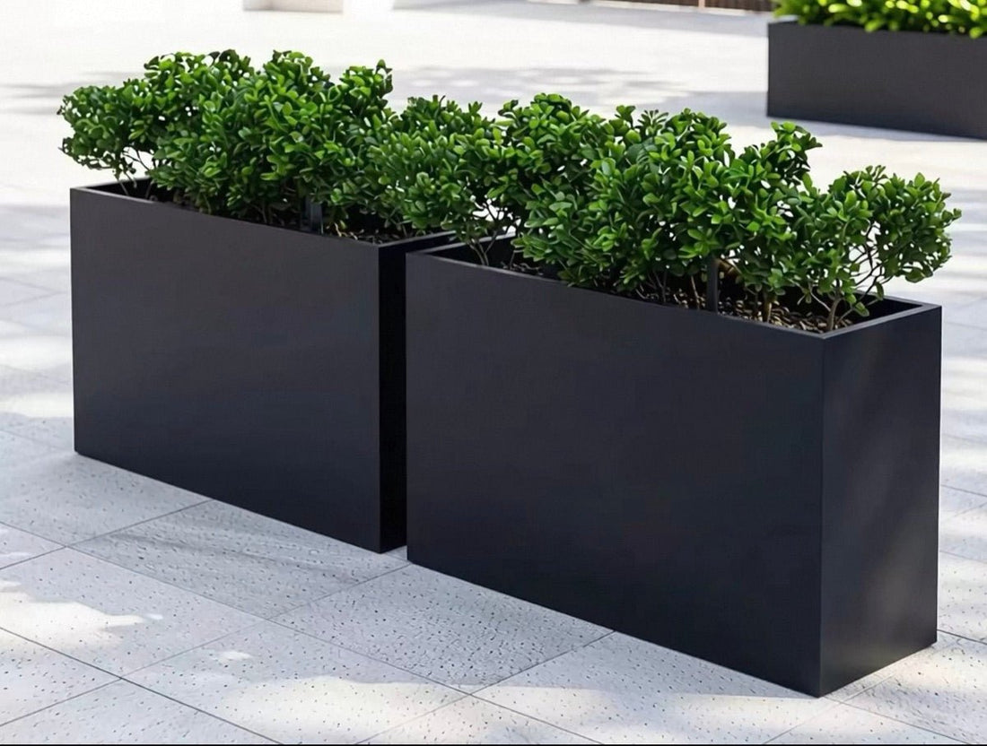 A pair of black planter boxes