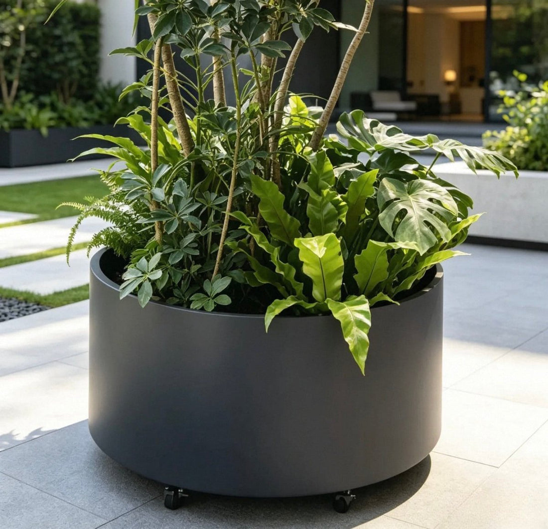 A charcoal round planter
