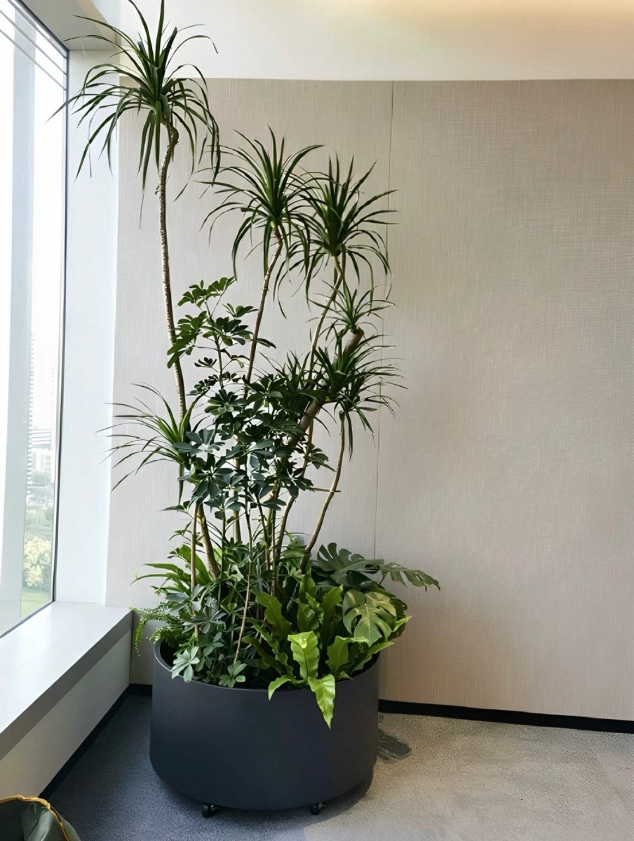 A round planter in an office corner