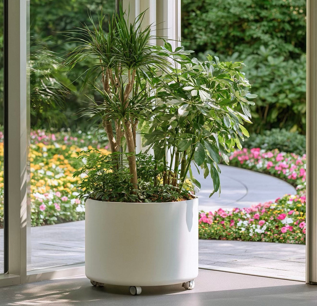 Add the plants