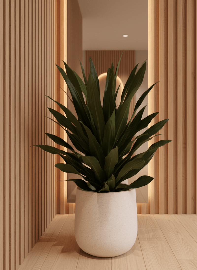 Tumbleweed Plants