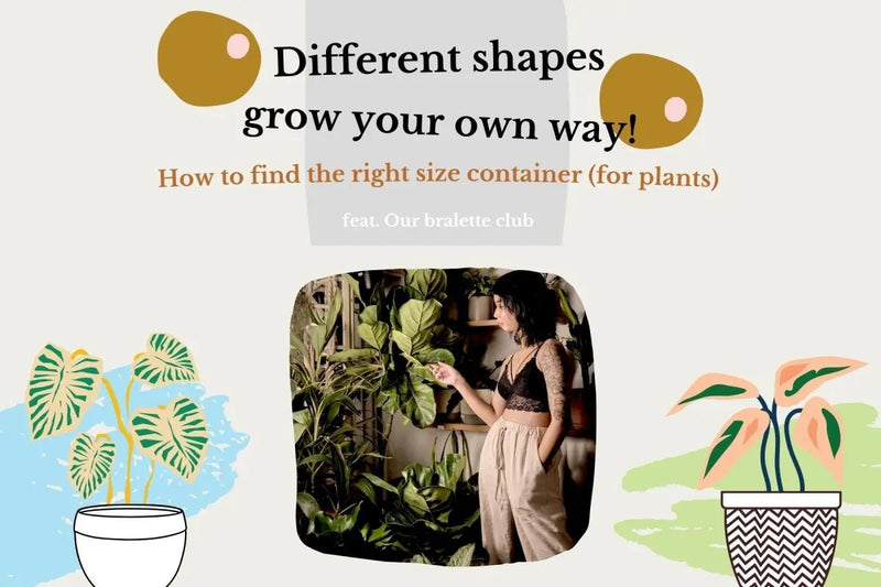 A not too serious look at fitting uneven shaped things in appropriate containers - in collaboration with Our Bralette Club - Tumbleweed Plants