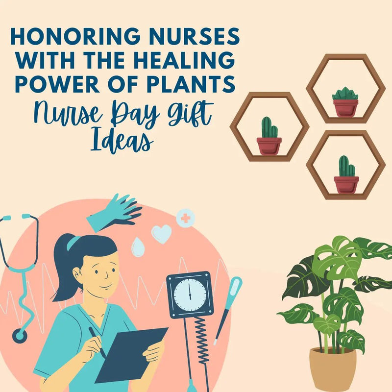 Honoring Nurses with the Healing Power of Plants: Nurse Day Gift Ideas - Tumbleweed Plants