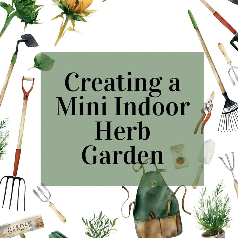 How To Make A Mini Indoor Herb Garden - Tumbleweed Plants