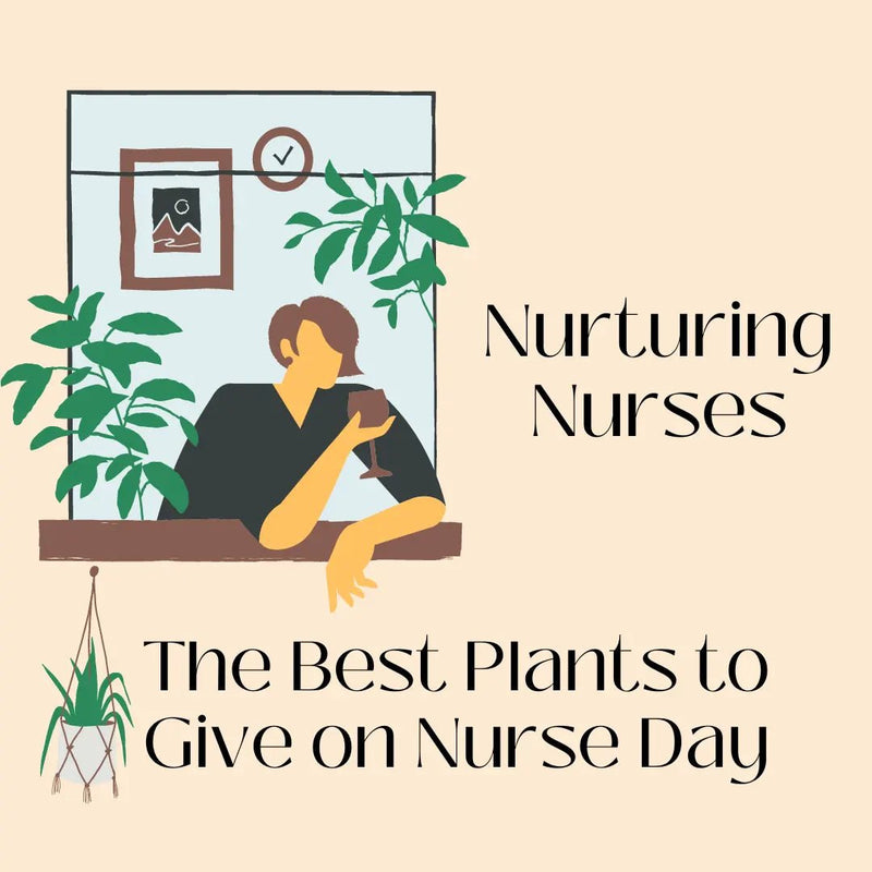 Nurturing Nurses: The Best Plants to Give on Nurse Day - Tumbleweed Plants