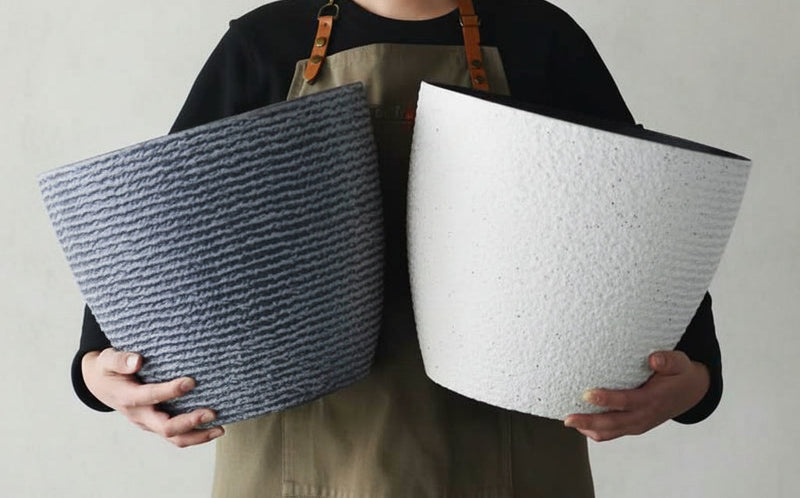Tumbleweed Plants