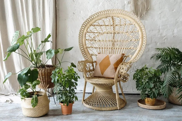 Perfect Houseplants For Different Home Styles - Tumbleweed Plants