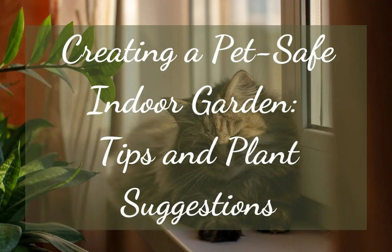 Plant Suggestions and Tips For A Pet-Safe Indoor Garden - Tumbleweed Plants