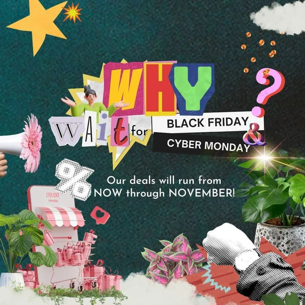 Turn Your Black Friday Green! - Tumbleweed Plants