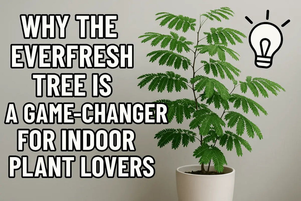 Why the Everfresh Tree Is a Game-Changer for Indoor Plant Lovers