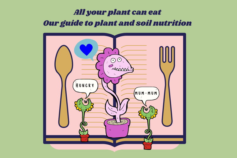 All your plant can eat - our guide to plant and soil nutrition - Tumbleweed Plants