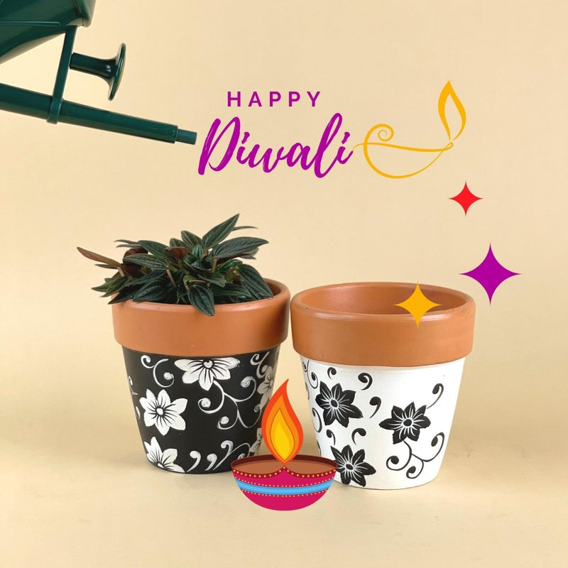 Celebrate Deepavali with Plants as Gifts - Tumbleweed Plants