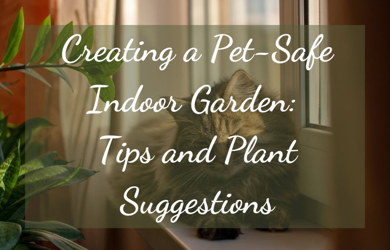 Creating a Pet-Safe Indoor Garden: Tips and Plant Suggestions - Tumbleweed Plants
