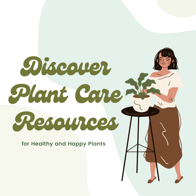 Discover Plant Care Resources for Healthy and Happy Plants - Tumbleweed Plants