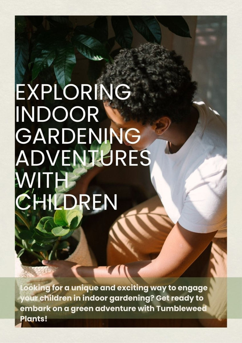 Exploring Indoor Gardening Adventures with Children - Tumbleweed Plants