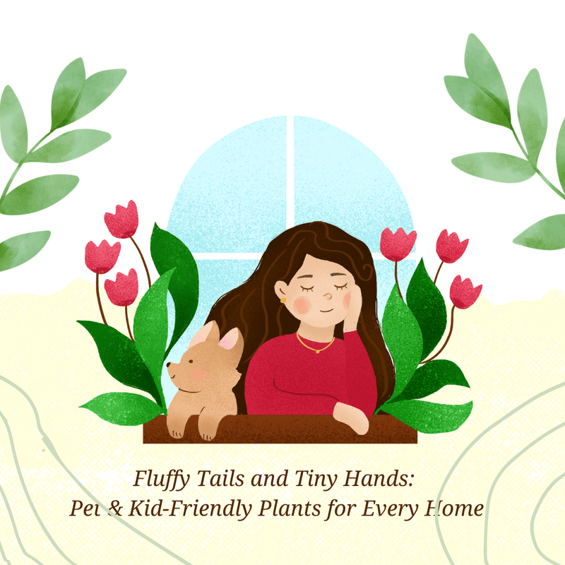 Fluffy Tails and Tiny Hands: Pet & Kid-Friendly Plants for Every Home - Tumbleweed Plants