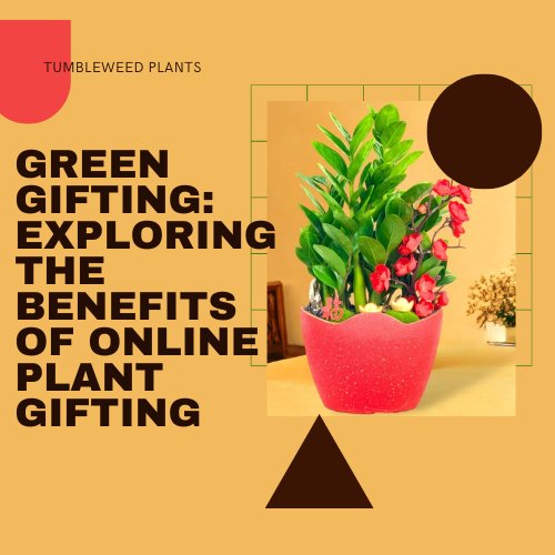 Green Gifting: Exploring the Benefits of Online Plant Gifting - Tumbleweed Plants