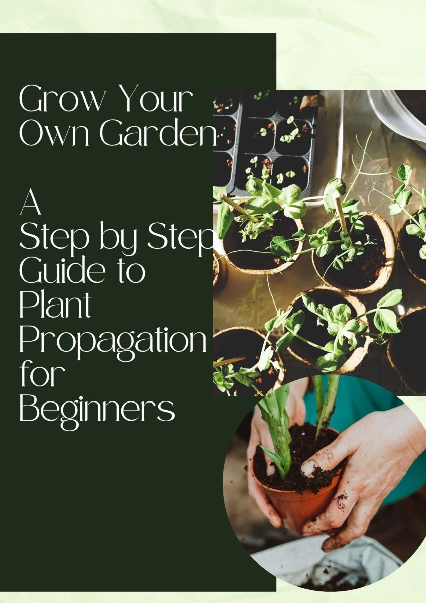 Grow Your Own Garden- A Step by Step Guide to Plant Propagation for Beginners - Tumbleweed Plants