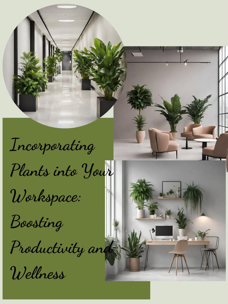 Incorporating Plants into Your Workspace: Boosting Productivity and Wellness - Tumbleweed Plants