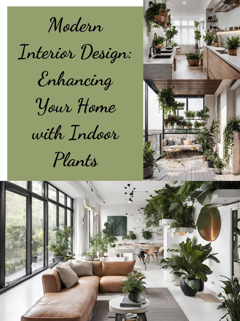 Modern Interior Design: Enhancing Your Home with Indoor Plants - Tumbleweed Plants