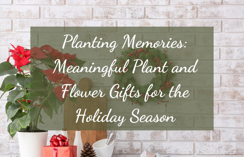 Planting Memories: Meaningful Plant and Flower Gifts for the Holiday Season - Tumbleweed Plants