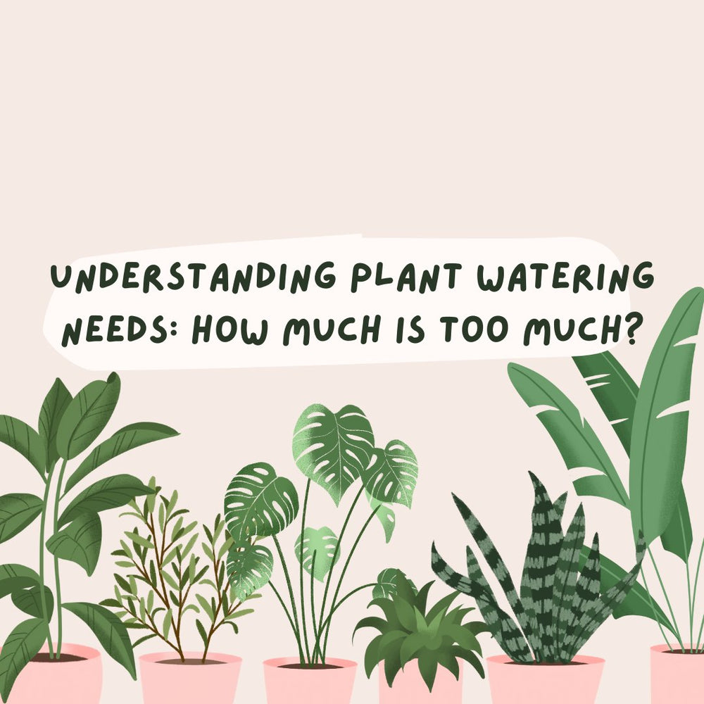 Understanding Plant Watering Needs: How Much Is Too Much? – Tumbleweed ...