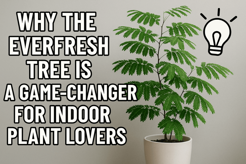 Why the Everfresh Tree Is a Game-Changer for Indoor Plant Lovers - Tumbleweed Plants