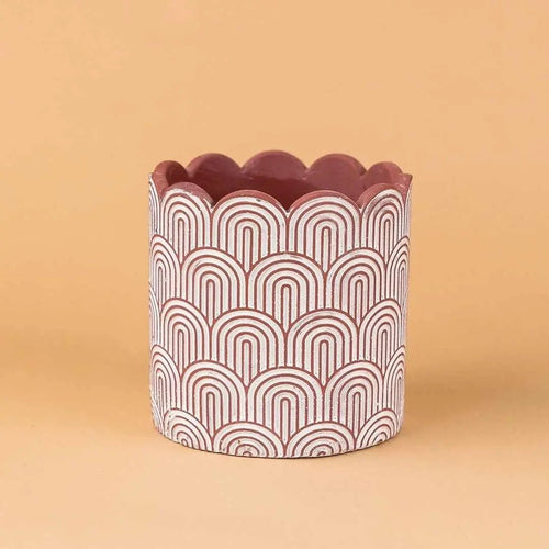 ALL PLANTERS - Tumbleweed Plants