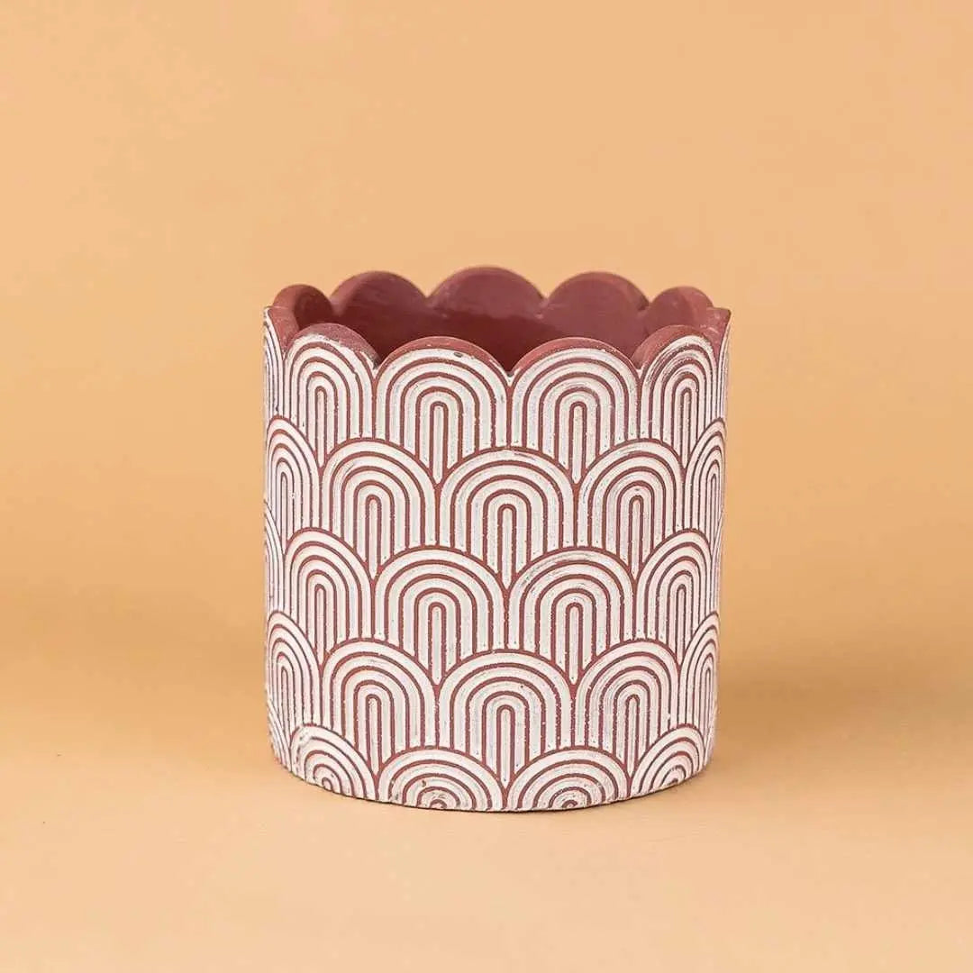 ALL PLANTERS - Tumbleweed Plants