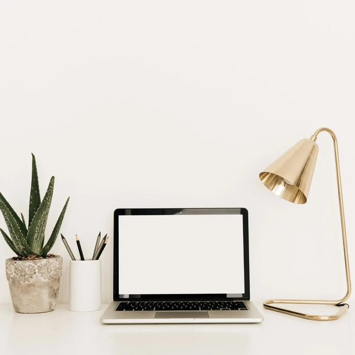 Desk Plants - Tumbleweed Plants