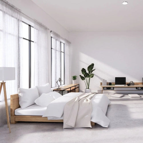 Minimalist Home - Tumbleweed Plants
