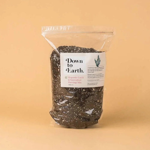 POTTING MEDIA - Tumbleweed Plants