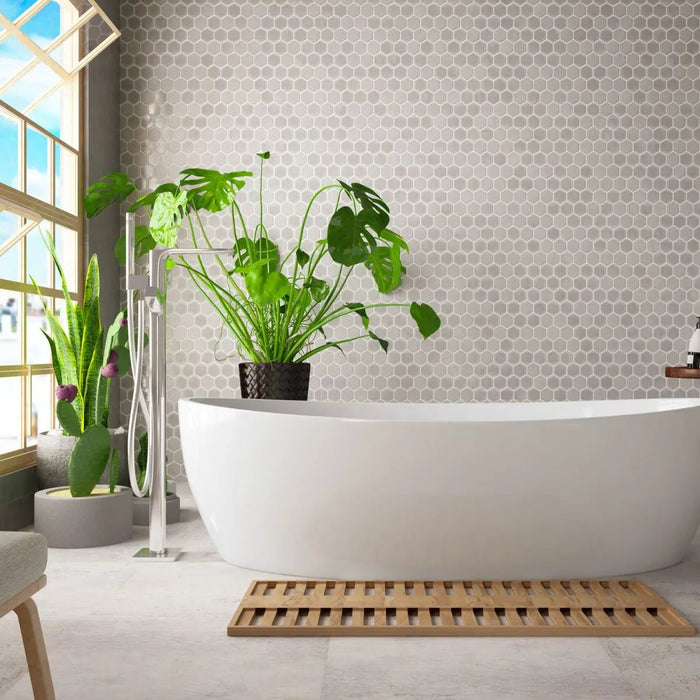 Plants for Bathroom - Tumbleweed Plants