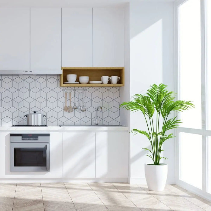 Plants for Kitchen - Tumbleweed Plants