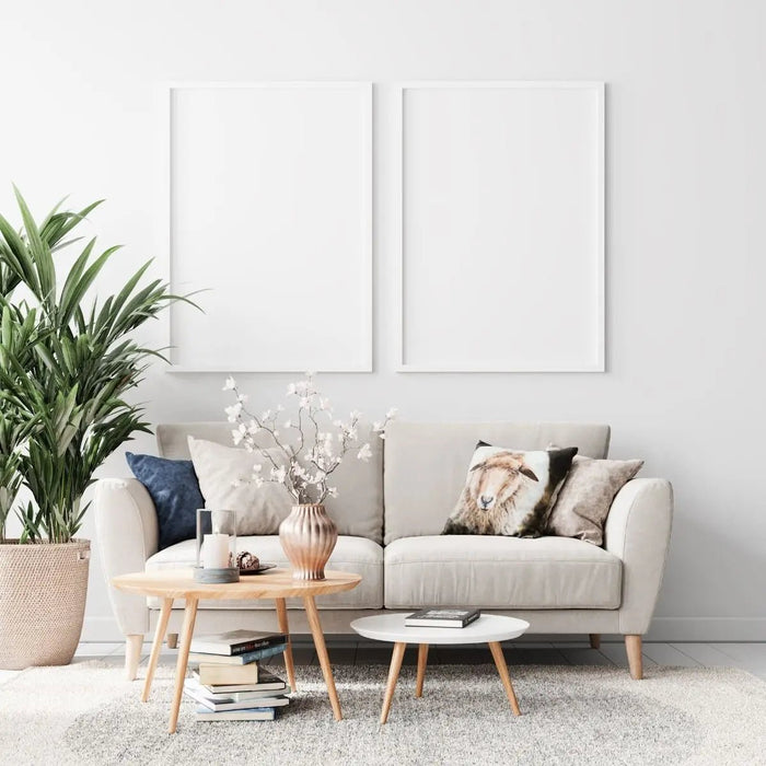 Plants for Living Room - Tumbleweed Plants