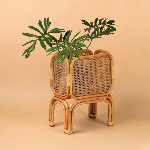 STANDS - Tumbleweed Plants
