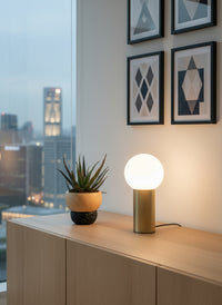 Aloe 'Christmas Carol'