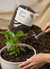 Down To Earth. 01 Organic Potting Mix