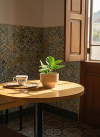 Monstera Peru Plant - Potted plant -  Tumbleweed Plants