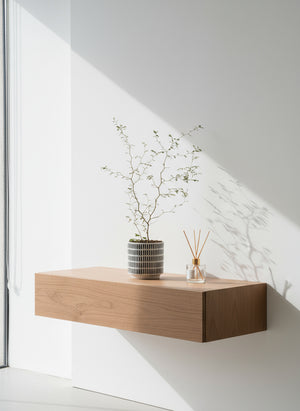 Sophora Prostrata 'Little Baby'