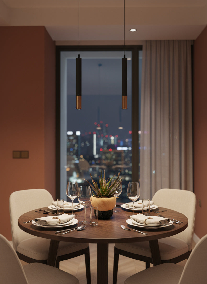 Aloe 'Christmas Carol'