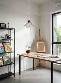 Bottle Tree Junior - Brachychiton Rupestris (Japan)