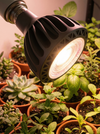 LUMI Grow Lights (Bulb E27)