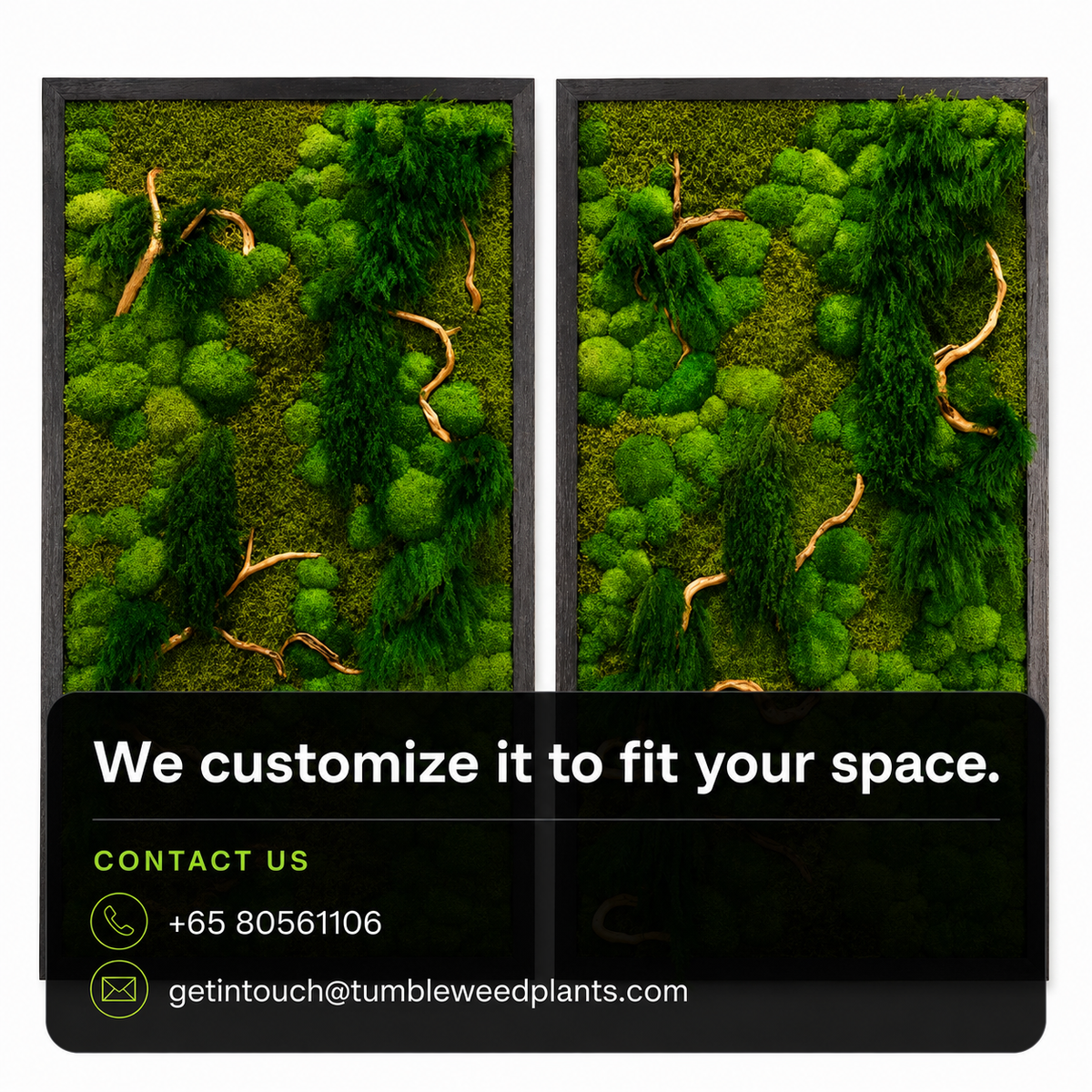 Frame Greens - MOSS.